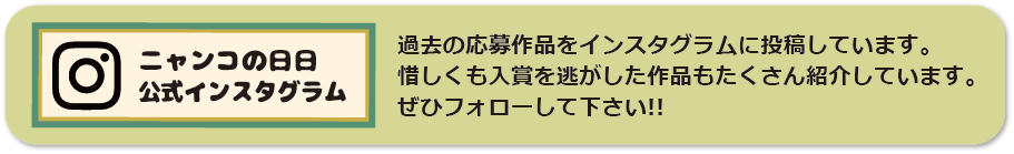 ニャンコの日日 公式インスタグラム 過去の応募作品をインスタグラムに投稿しています。惜しくも入賞を逃がした作品もたくさん紹介しています。ぜひフォローして下さい!!